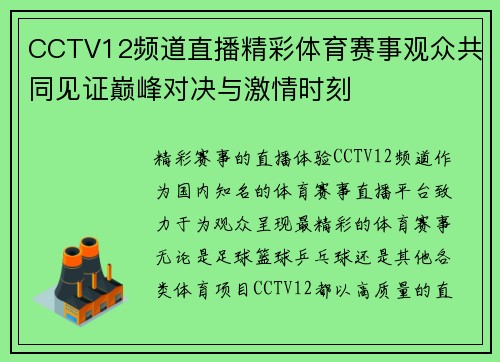 CCTV12频道直播精彩体育赛事观众共同见证巅峰对决与激情时刻